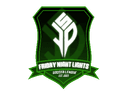 Friday Night Lights Soccer League crest